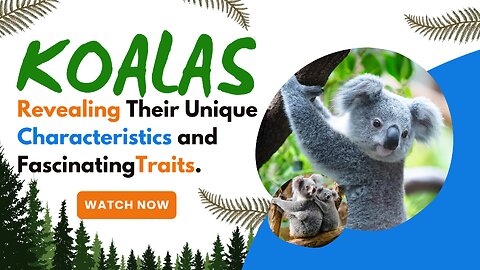 Koalas, Revealing Their Unique Characteristics and Fascinating Traits.