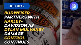 Budweiser Partners with Harley-Davidson as Dylan Mulvaney Damage Control Continues