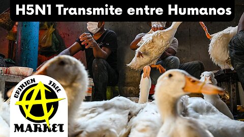 OMS confirma CASOS de TRANSMISSÃO ENTRE HUMANOS da GRIPE AVIÁRIA H5N1 no CAMBOJA