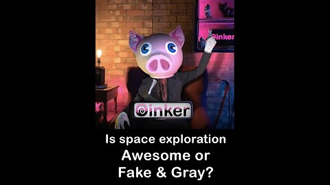 Oinker Poll - Is Space, Awesome or Fake & Gray?