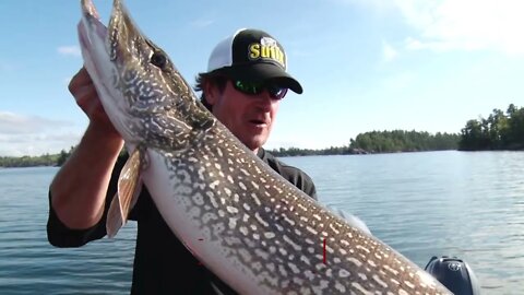 Throwing swimbaits on Rainy Lake