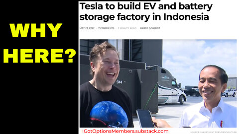 WHY DID TESLA PICK INDONESIA?