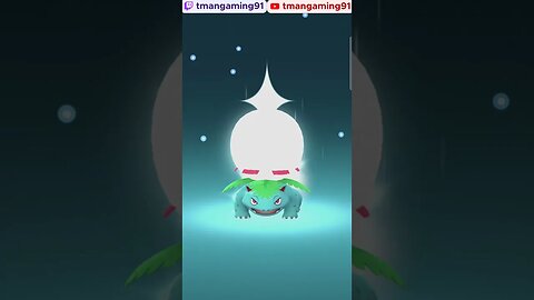 Pokémon GO-Purified Venusaur Mega Evolution