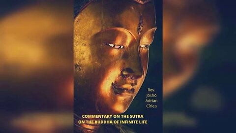 Commentary on the Sutra on the Buddha of Infinite Life - Outline of the sutra