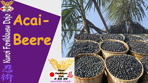 001 - Acai Beere