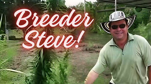 Breeder Steve