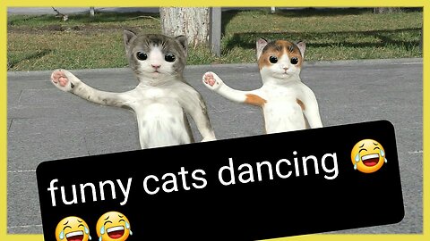 cutest cats dancing😂😂😂