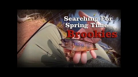 Exploring The Water's Of PEI | Searching For Spring TIme Brookies! #fishing