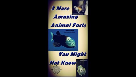 3 More Amazing Animal Facts You Might Not Know