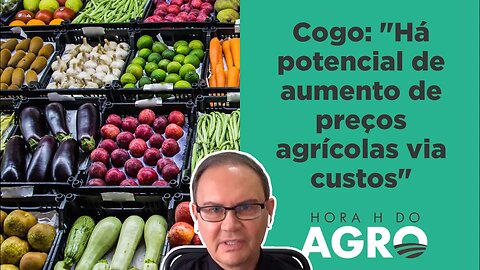 Israel: Nova guerra vai fazer o preço dos alimentos disparar? | HORA H DO AGRO