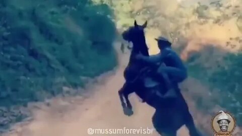 CAVALO BRAVO DEU RUIM ? CAVALGADA COM O BETO CARREIRO ! ( MEMES )