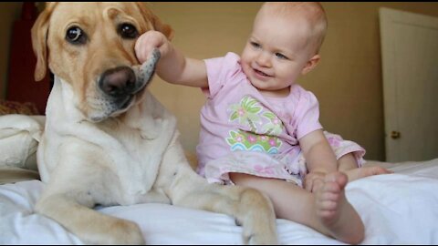 Dog Barks At Babysitter, So Mom Hides Camera In Hair