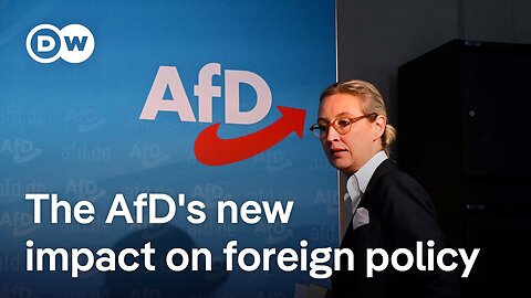 How Germany's AfD party fits into the bigger picture of far-right populism in Europe | DW News