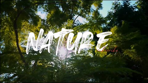 Into the nature || Nature Cinematic / B-roll nature film || cinematic with mobile 4k 60fps