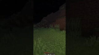 Minecraft #tiktok #Shorts