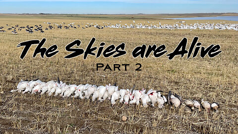 SNOW GOOSE HUNTING Saskatchewan - Changing up our TACTICS - The Skies are Alive P.2