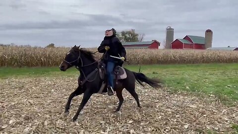 The Headless Horseman Galloping Sideways 😲