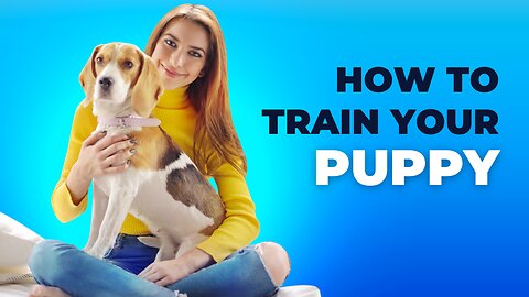 🐕 Basic Dog Training – TOP 10 Essential Commands Every Dog Should Know!