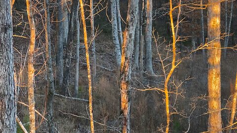 Wahuhi Hunts - Rattlesnake Hill - Feb. 6, 2024