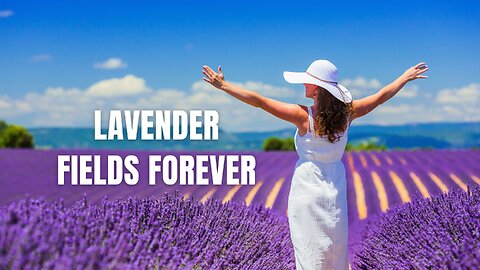 Lavender Fields Forever : #urban #music #adventure #travelmusic #Provence #LavenderFields