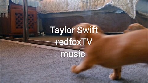 redfoxTVmusic