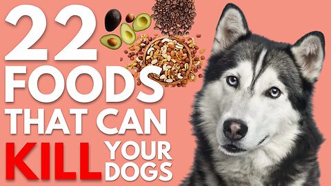 Keep Your DOGS Away From These Foods || 22 Foods That Can Kill Your Dogs