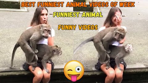 FUNNIEST Animal 😂 Best Funniest Animal Videos of Week 😂 Funny Videos