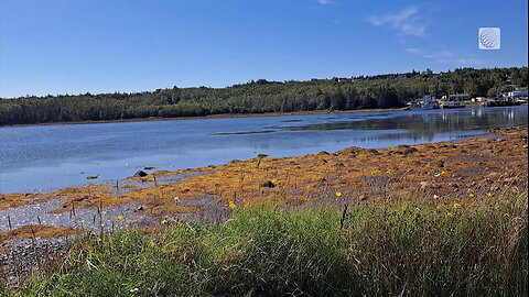 Blue skies above Shelburne County in Nova Scotia