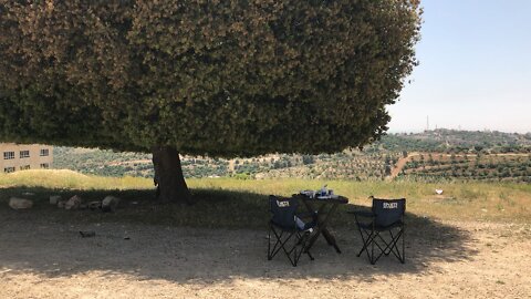 Picnic under famous tree in Jordan