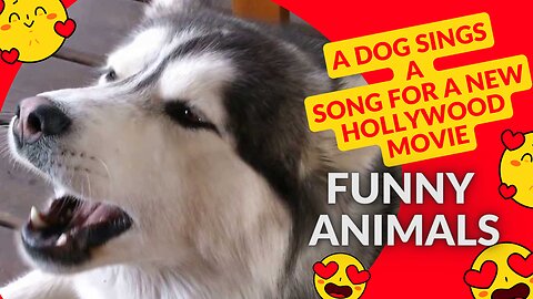 A dog sings a song for a new Hollywood movie