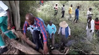 SOUTH AFRICA - KwaZulu-Natal - Crocodile terrorises villagers (Videos) (iu9)