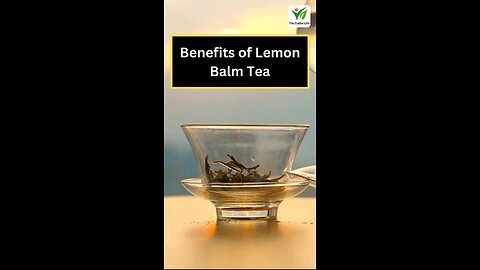 Lemon Balm Tea