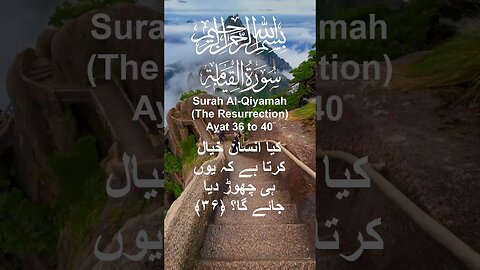 Surah Al Qiyamah in Urdu Translation Ayat36to40 #youtube#youtubeshorts#ytshorts#viral#shorts#short