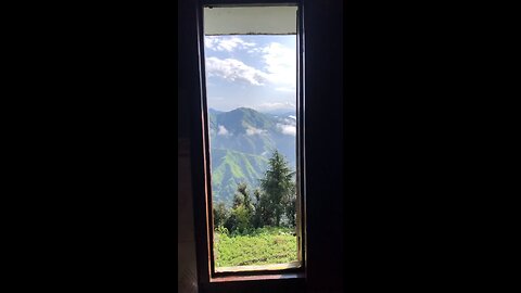 Window view