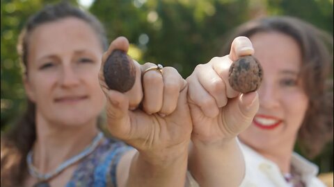 Easily Remove Walnut Husks [Clue: Cement Mixer]