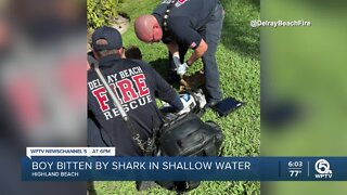 Boy bitten by shark in shallow water