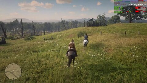 Red Dead Redemption 2 AMD 3800X RTX 2080