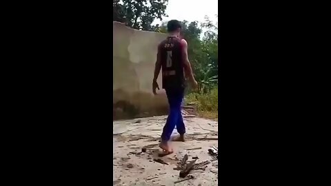 Funny Videos