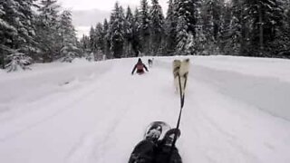 Una passeggiata sulla neve ad alta velocità