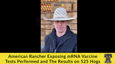 American Rancher Exposing mRNA Vaccine Tests Performed and The Results on 525 Hogs