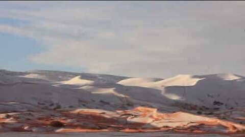 Sahara desert covered in snow after rare climacteric phenomenon