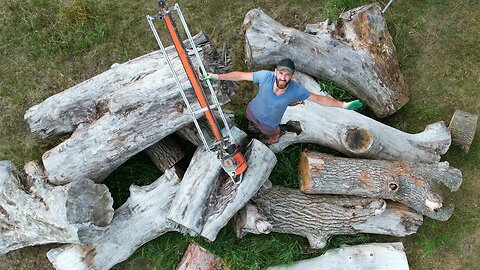 What came out of these logs?