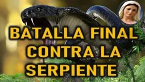 BATALLA FINAL CONTRA LA SERPIENTE - MARIA SANTISIMA A PEDRO REGIS