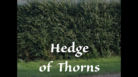 Hedge of Thorns