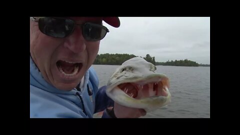 50 inch Muskie on Eagle Lake, Ontario