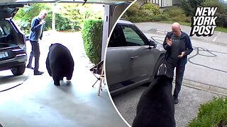 Un-bear-ably close call: Canadian man scares off animal intruder