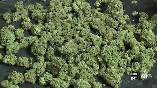 A look inside MO medical marijuana growing facility, testing lab