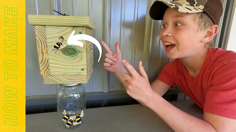 How to make a Carpenter bee trap!