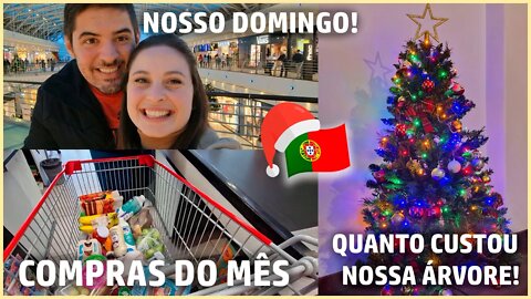 COMPRAS DO MÊS EM PORTUGAL | NOSSA ÁRVORE DE NATAL