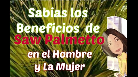 SABIAS ESTOS POSIBLES BENEFICIOS EN LA SALUD DEL HOMBRE Y LA MUJER CON SAW PALMETTO O PALMA ENANA.